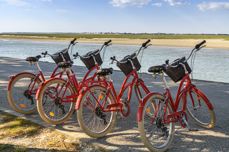 Les vélos rouges, location de vélos sur les quais de la Somme