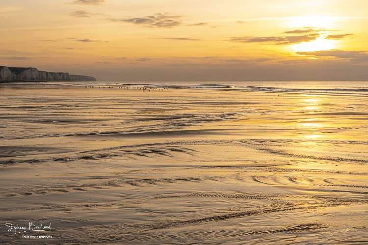 reflets dorés sur le sable mouillé de la plage d'Ault au soleil couchant