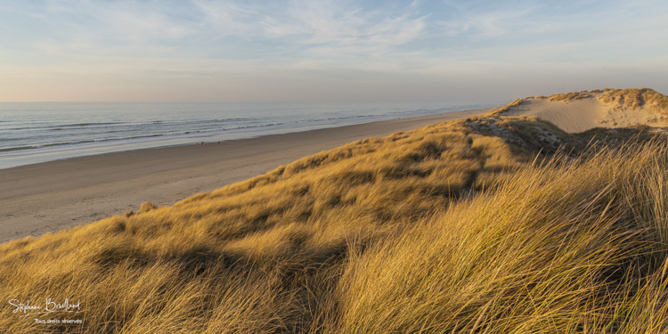 Les dunes le long de la plage de Quend-Plage (Côte Picarde) 