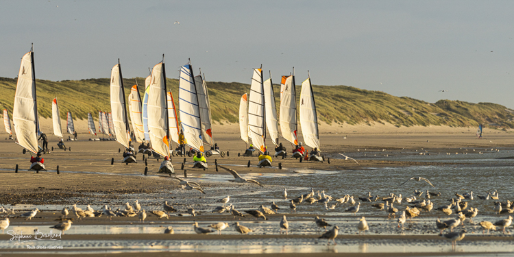 2021_09_11_Quend-Plage_chars_a_voile-001.jpg