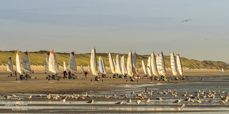 2021_09_11_Quend-Plage_chars_a_voile-002.jpg