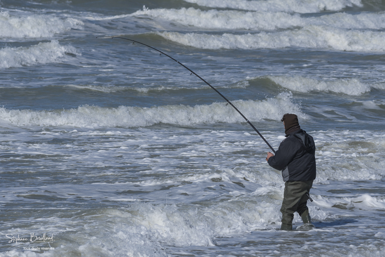 Pêcheurs à la ligne sur la plage de Berck-sur-mer