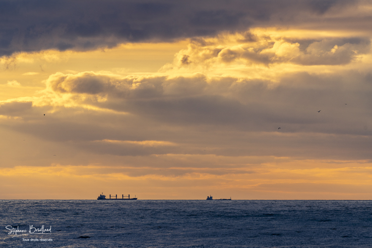 Passage des bateaux cargo et porte-containers dans la Manche au large d'Ambleteuse. 