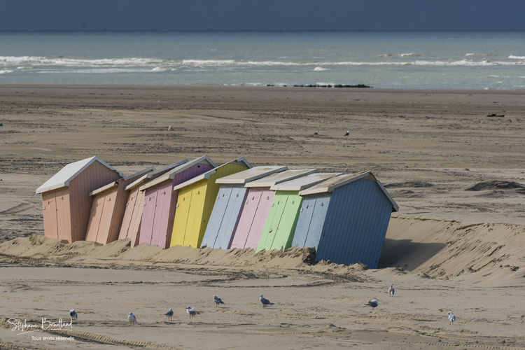 Cabines de plage à Berck-sur-mer