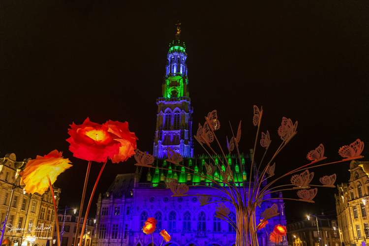 Arras, la Place des Héros illuminée pour Noël